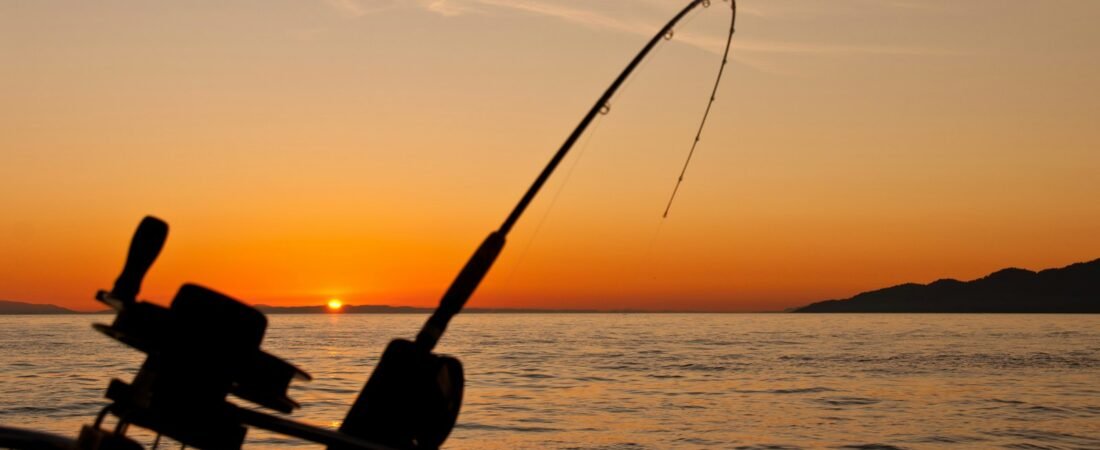 La Paz Fishing Report: How to Find Current Conditions Before You Book