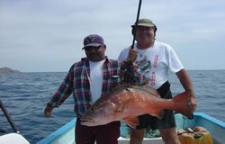 Pargo