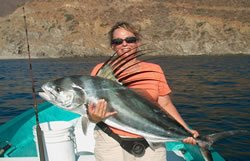 Roosterfish