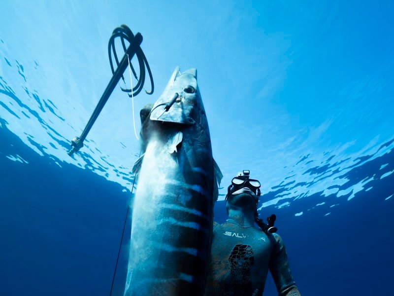Wahoo, a fast-swimming offshore saltwater species prized for explosive runs